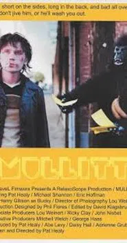 Poster do filme Mullitt