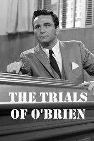 The Trials of O'Brien tv show poster