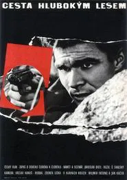 Poster do filme Passing Through a Thick Forest