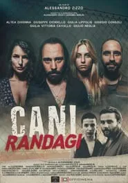 Cani randagi movie poster
