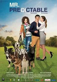 Mr. Predictable movie poster