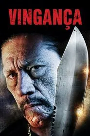 Poster do filme Vingança