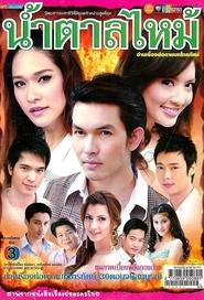 Burnt Sugar tv show poster