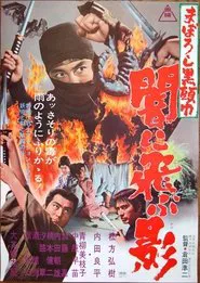 Black Ninja movie poster