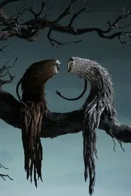 Poster do filme Radix