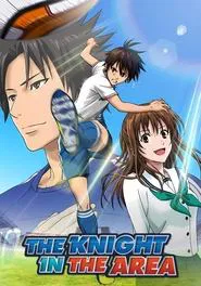 The Knight in the Area tv show poster