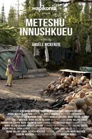 Meteshu innushkueu movie poster