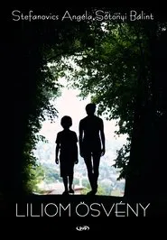 Lily Lane movie poster