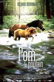 Pom, le poulain movie poster