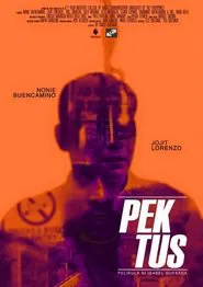 Poster do filme Pektus