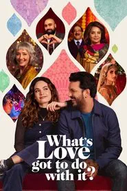 What's Love Got to Do with It? movie poster
