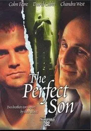 The Perfect Son movie poster