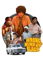 Wrong Kind of Black tv show poster