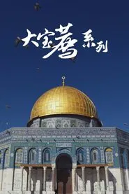 大宝荐系列 tv show poster