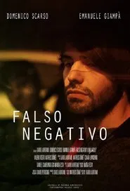 False Negative movie poster