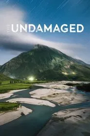 The Undamaged movie poster