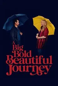 A Big Bold Beautiful Journey movie poster