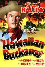 Poster do filme Hawaiian Buckaroo