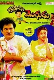 Poster do filme Brahmachari Mogudu