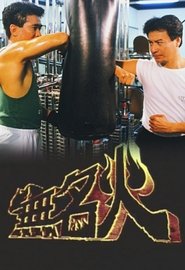 Flame of Fury tv show poster