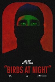 Birds at Night movie poster