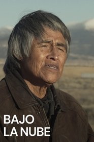 Poster do filme Under the Cloud