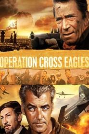Operation Cross Eagles movie poster