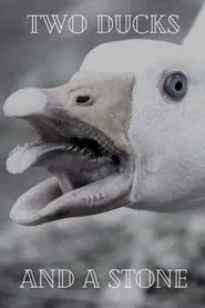 Poster do filme Two Ducks and a Stone