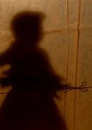 The Secret Story movie poster