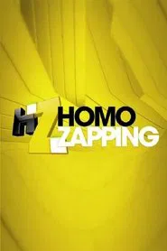 Homo Zapping tv show poster