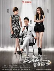 Double Sweet Wife tv show poster