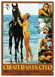 Melody in Love movie poster