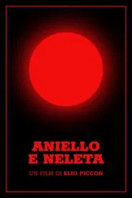 Aniello e Neleta movie poster