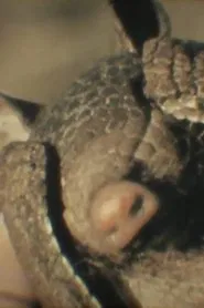 Fauna Sudamericana N°8: Mulita movie poster