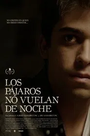Birds Don’t Fly at Night movie poster