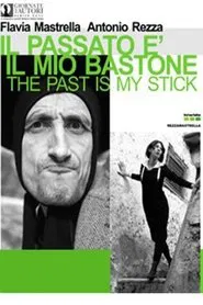 The Past is My Stick movie poster
