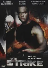 Fighting Chance movie poster