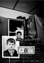 Poster do filme O niño dos paxaros