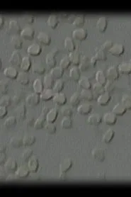 Let Me Count the Ways: 10...9…8…7…6 movie poster