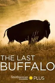 The Last Buffalo movie poster