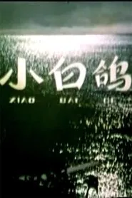 小白鸽 movie poster