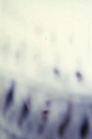 The Destructive Light Will Come movie poster