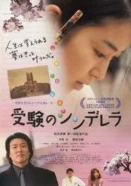 Cinderella Formula movie poster