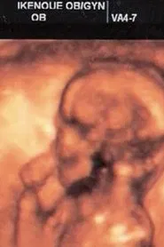 Take the Wind movie poster