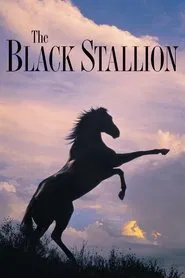 The Black Stallion movie poster