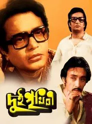 Poster do filme Dui Prithibi