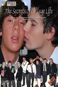 The Secrets Of College Life movie poster