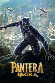 Poster do filme Pantera Negra