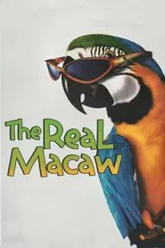 The Real Macaw movie poster