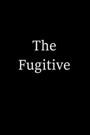 Poster do filme The Fugitive